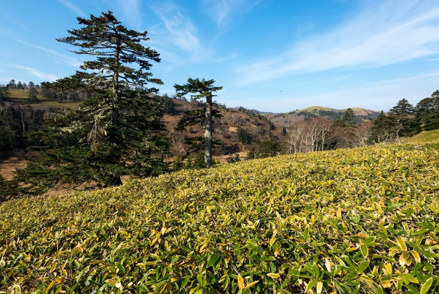 破旧IS3坦克“镇守”北方四岛之色丹岛