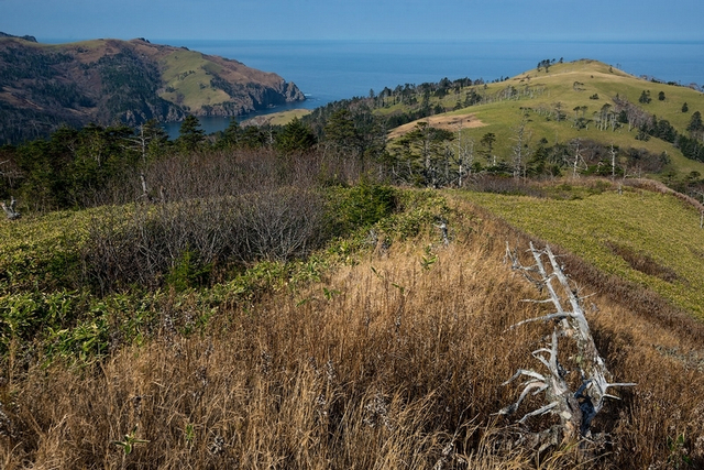破旧IS3坦克“镇守”北方四岛之色丹岛
