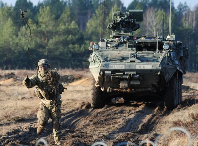 美军与立陶宛军队进行联合军演