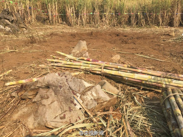 一块石头上有血迹