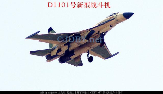 传歼11D战机照首次曝光