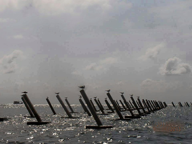 中越南海造岛对比：越南不自量力抢中国地盘