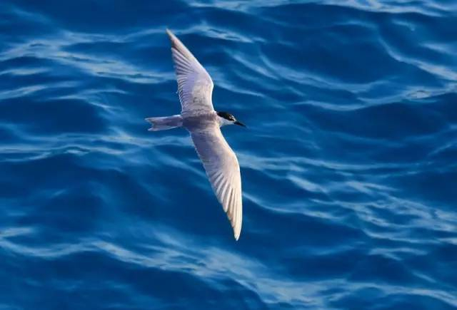 中国南海美丽风景