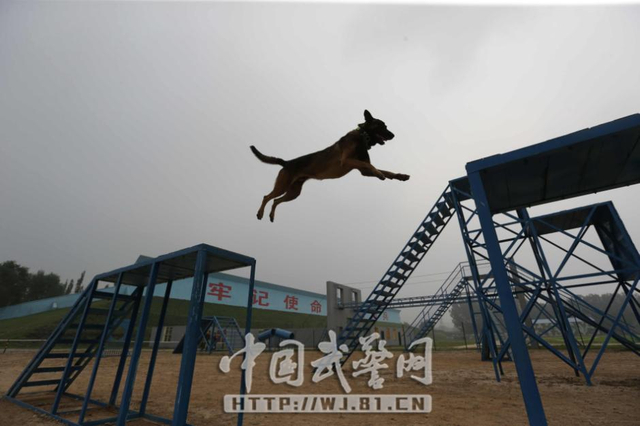 北京武警用国际标准考特战兵 新狙已批量装备 