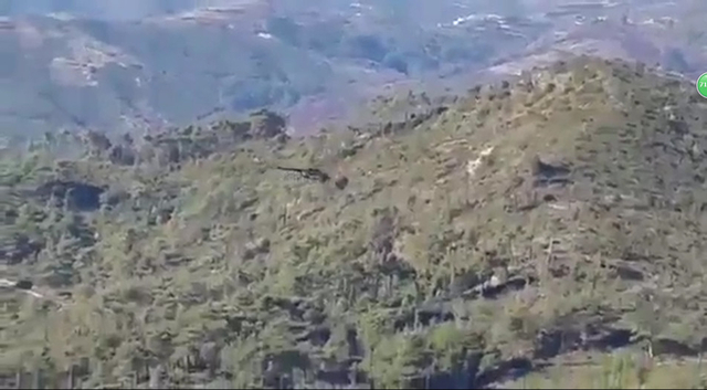 俄军直升机飞抵战机坠毁区搜寻跳伞飞行员