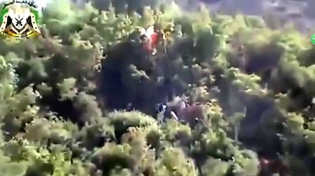 跳伞俄军飞行员降落伞挂在树上