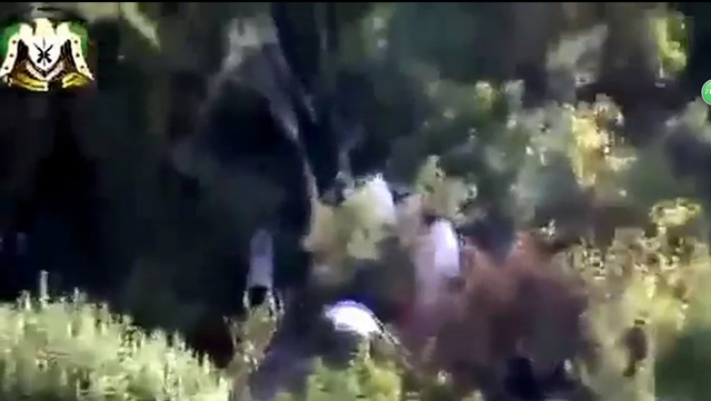 跳伞俄军飞行员降落伞挂在树上