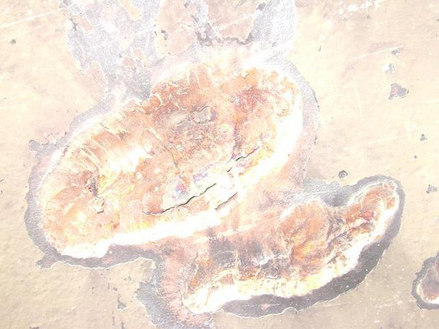 中美俄主战坦克暴力测试：中国99式抗红箭8