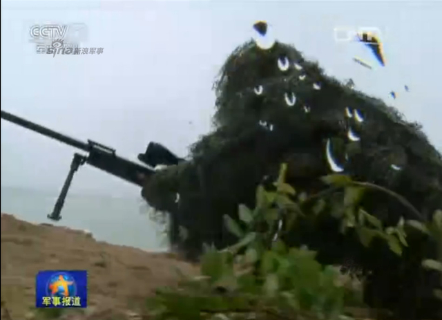 解放军东南某海域登陆大演习 