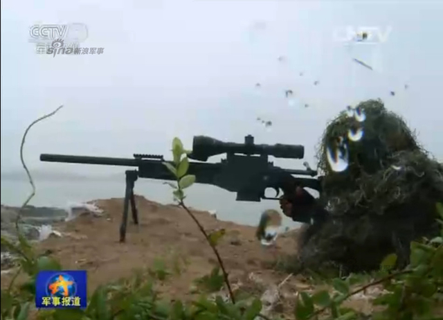 解放军东南某海域登陆大演习 