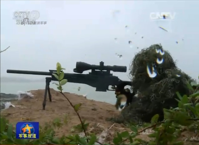 解放军东南某海域登陆大演习 