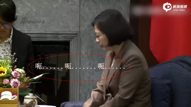 蔡英文见美国访问团变结巴:我说中文有困难