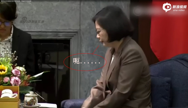 蔡英文见美国访问团变结巴:我说中文有困难