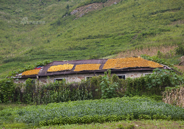 远离平壤之地！绝大多数人没见过的朝鲜图