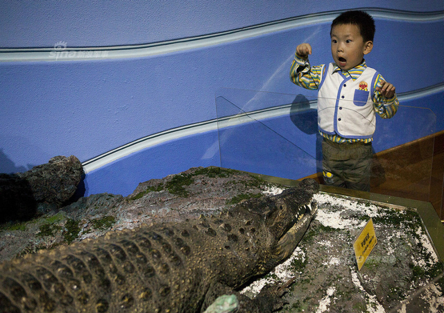 远离平壤之地！绝大多数人没见过的朝鲜图