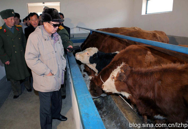 时过境迁物是人非 回看祖孙三代领导下的朝鲜