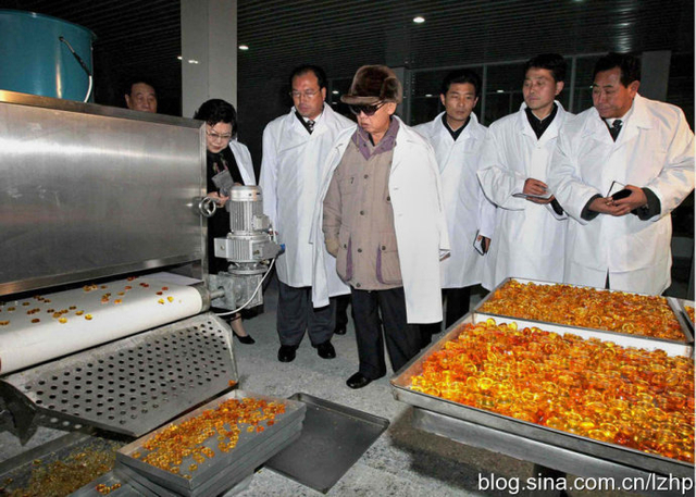 时过境迁物是人非 回看祖孙三代领导下的朝鲜