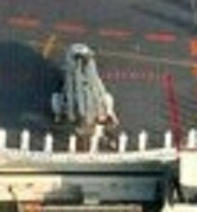 辽宁号航母舰载直升机大合影：首曝直18F上舰