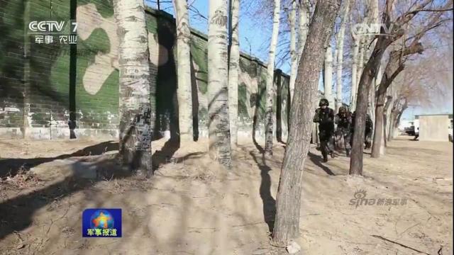 38集团军女子特种兵训练曝光
