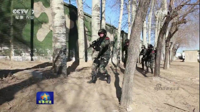 万岁军的铿锵玫瑰:曝38集团军女子特种兵训练