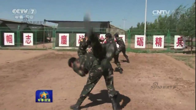 万岁军的铿锵玫瑰:曝38集团军女子特种兵训练