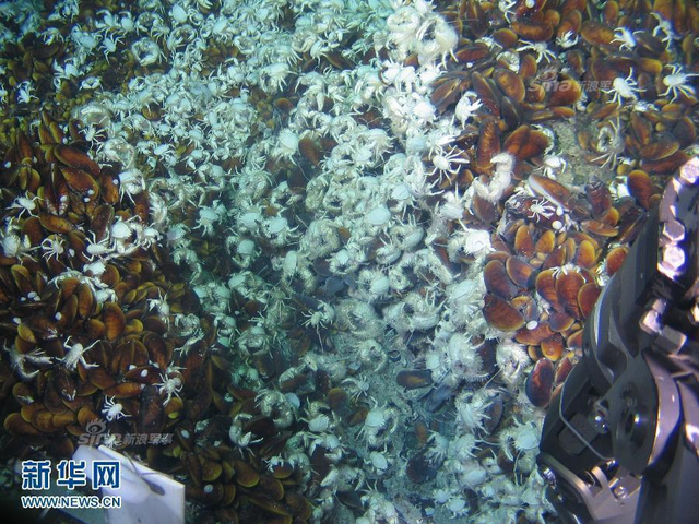 探查每一寸领土！中国蛟龙号深潜器抵南海作业