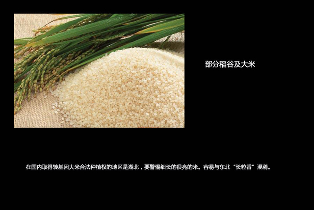 部分稻谷及大米