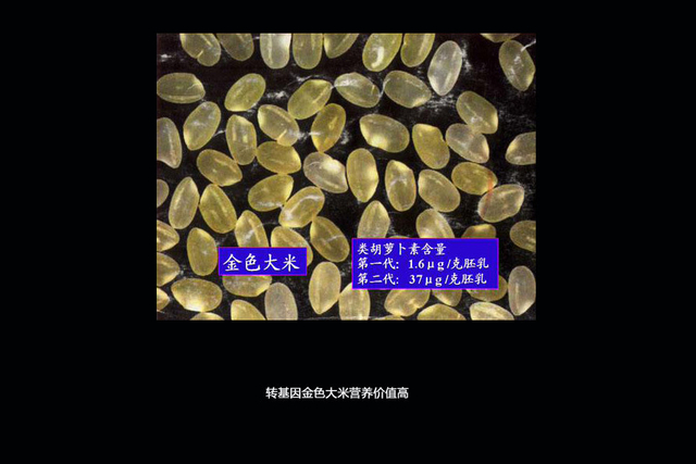 探寻你身边的“转基因食品”