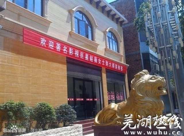 揭秘“气功大师”王林“王府”