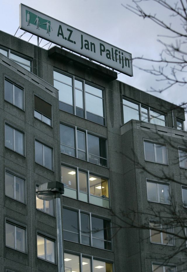 2008年比利时女性为荷兰夫妇代孕引发风波