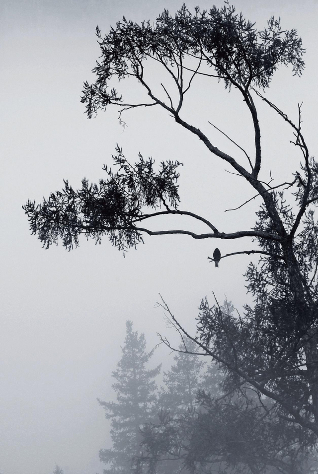 《浮生二十四小时》