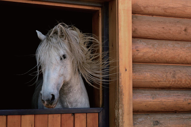 《浮生二十四小时》