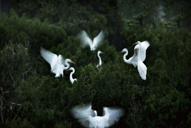 《浮生二十四小时》