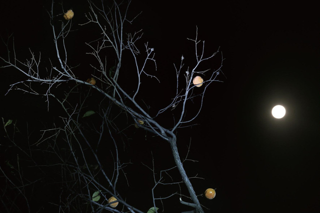 《浮生二十四小时》