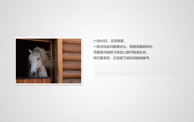 《浮生二十四小时》