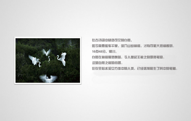 《浮生二十四小时》