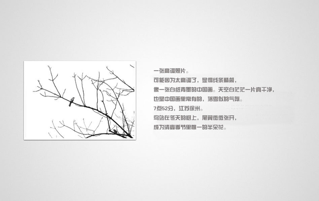 《浮生二十四小时》