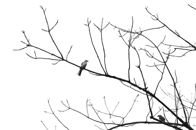 《浮生二十四小时》