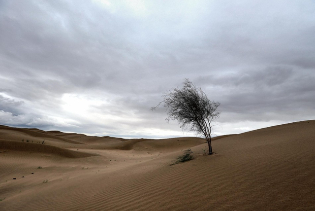 《浮生二十四小时》