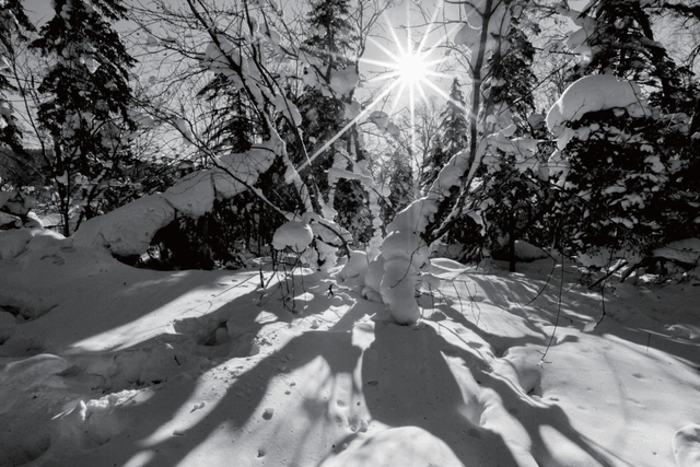 《浮生二十四小时》