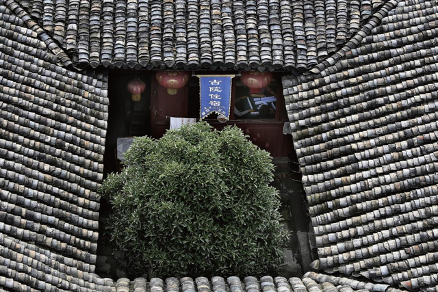 《浮生二十四小时》