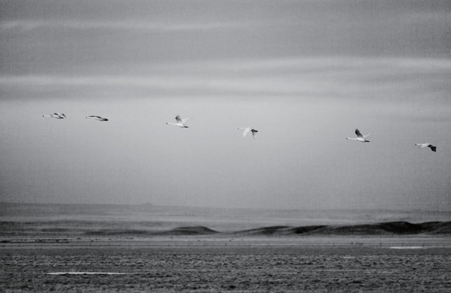 《浮生二十四小时》