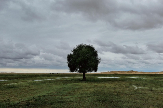 《浮生二十四小时》