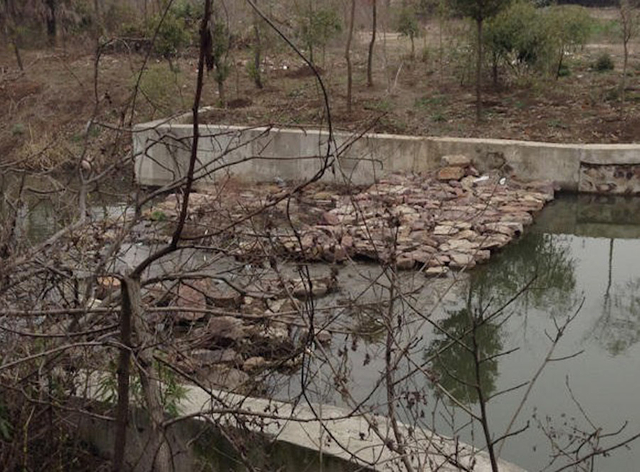 无锡周氏老宅曝光