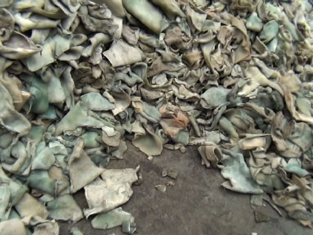 雅客金冠蜡笔小新使用垃圾皮料明胶生产糖果