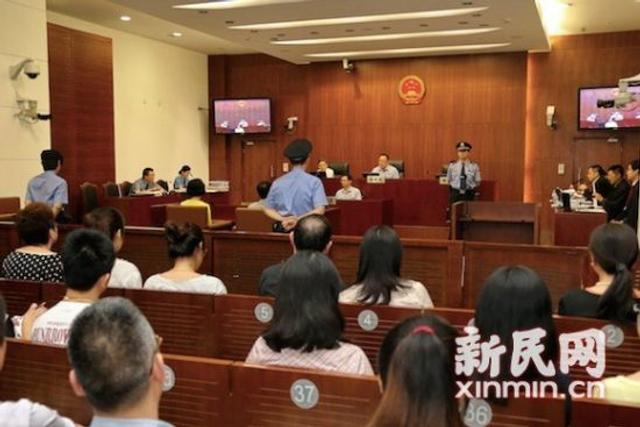 泛鑫美女老板陈怡被抓
