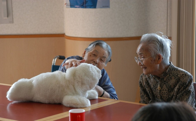 老龄化致废弃“鬼屋”遍布日本