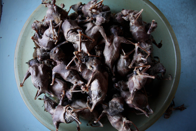 印尼人嗜吃蝙蝠 一餐厅每月销售800只