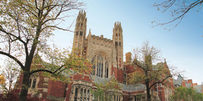 深剖美国一线法学院LLM项目