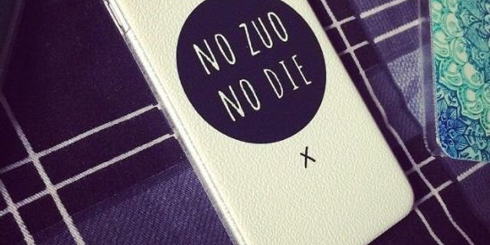 汉语入侵外语:no zuo no die入美国俚语词典